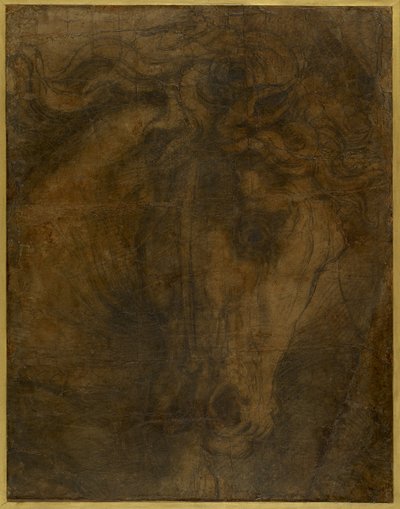 The Head of a Horse by Raffaello Sanzio Raphael